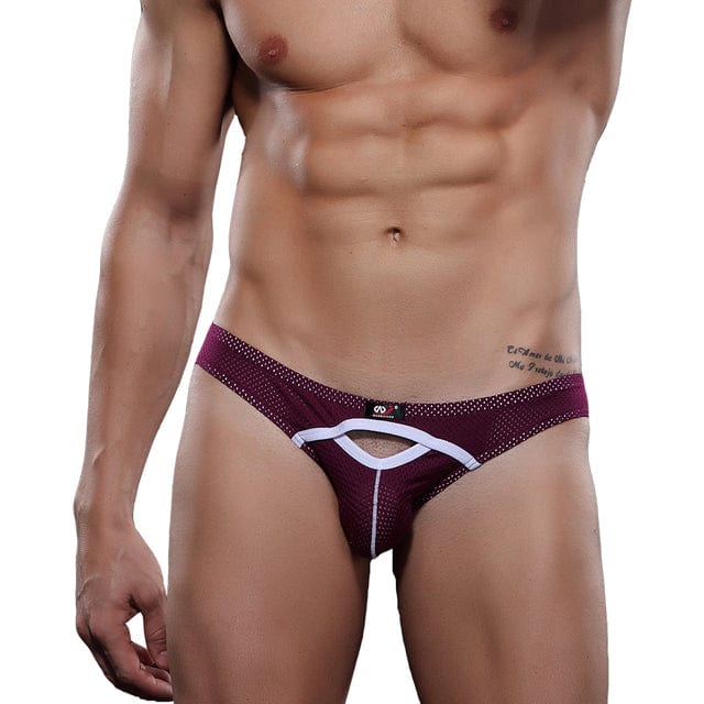 Exposed Bulging Mesh Briefs | dmunderwear detail image 7