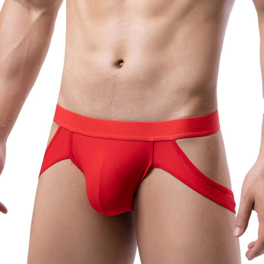 Exposed Hip Briefs | dmunderwear detail image 4