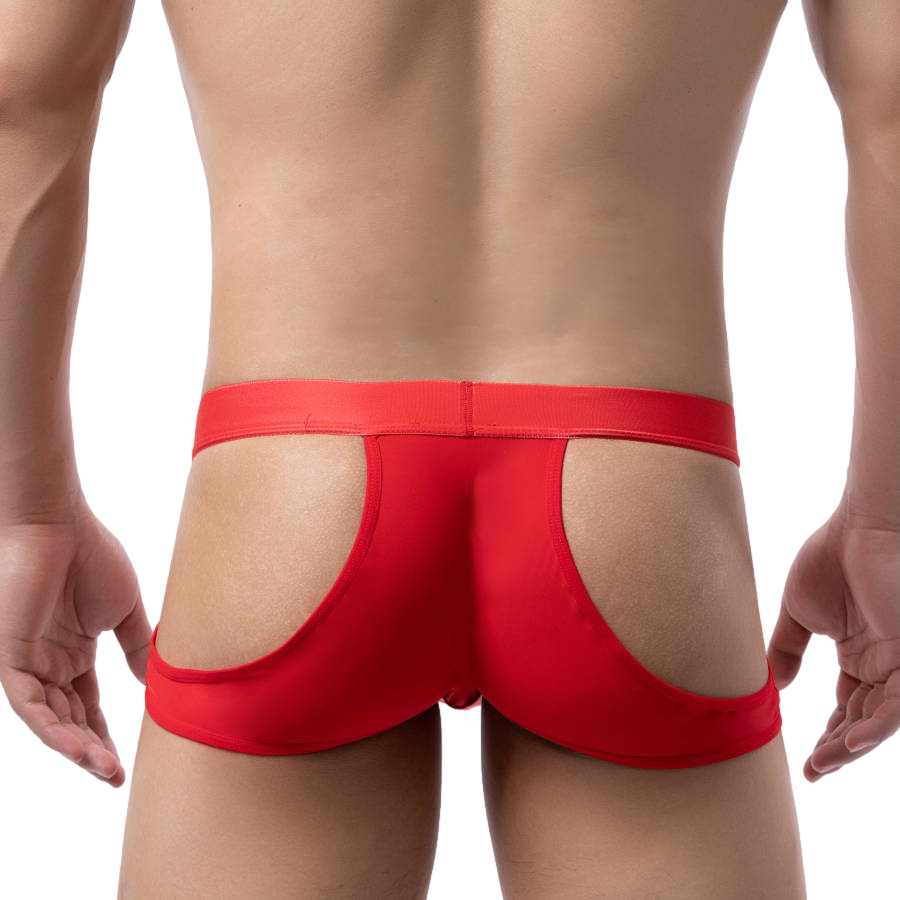 Exposed Hip Briefs | dmunderwear detail image 6