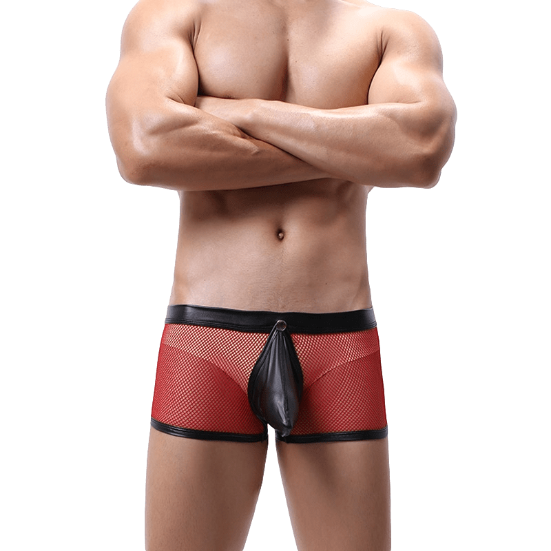 Exposed Mesh Trunks | dmunderwear detail image 16