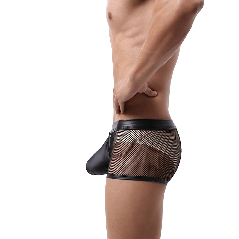 Exposed Mesh Trunks | dmunderwear detail image 3