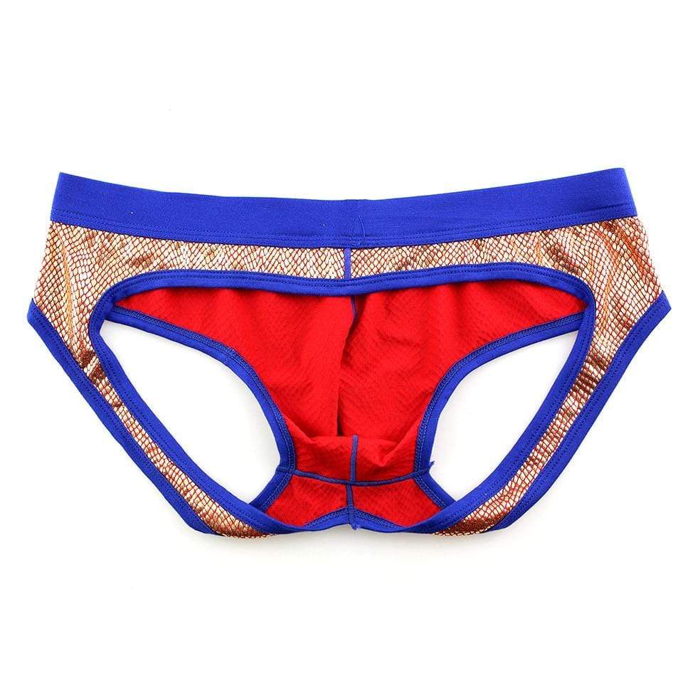 Flamboyant Backless Briefs | dmunderwear detail image 4