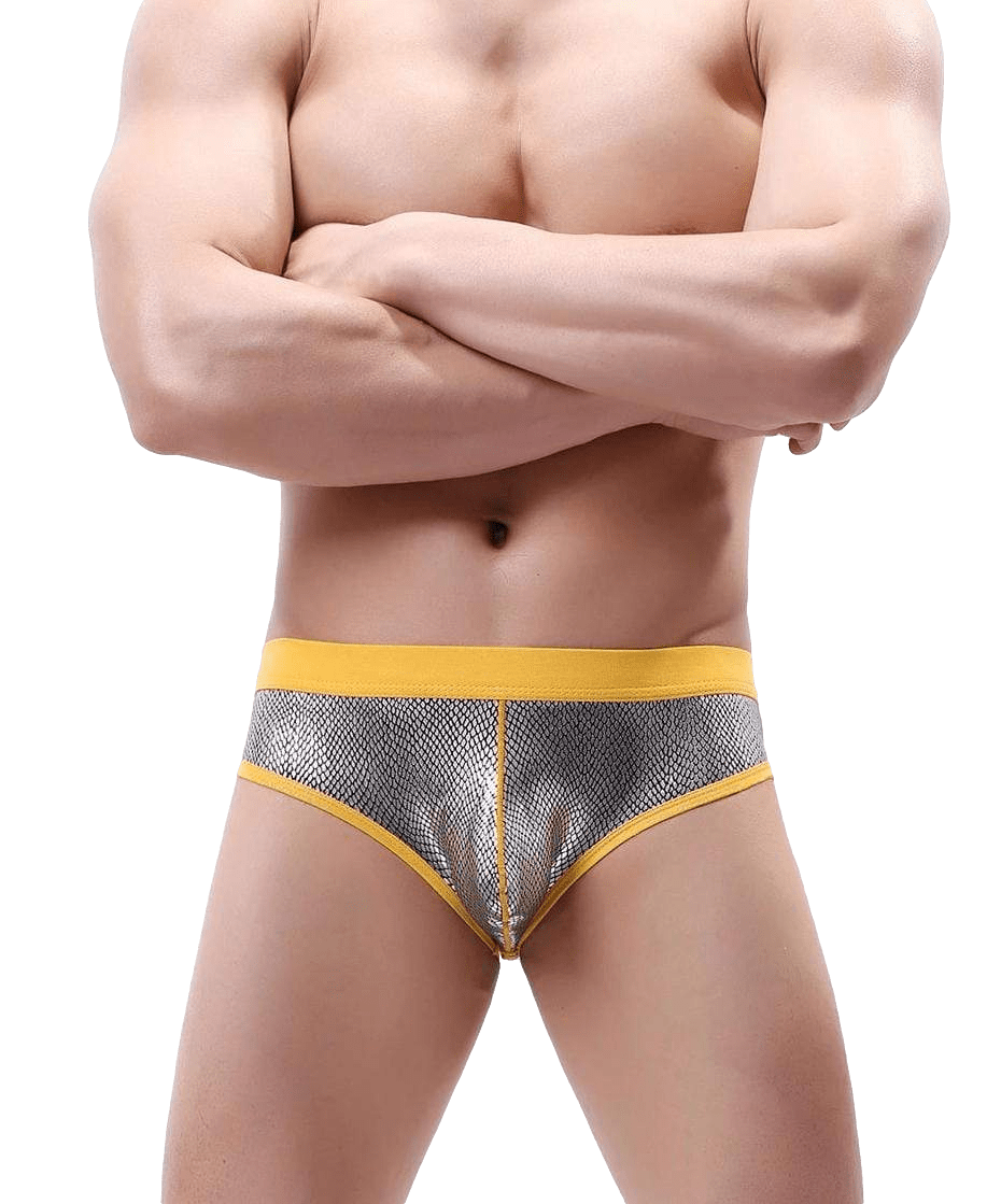 Flamboyant Backless Briefs | dmunderwear detail image 9