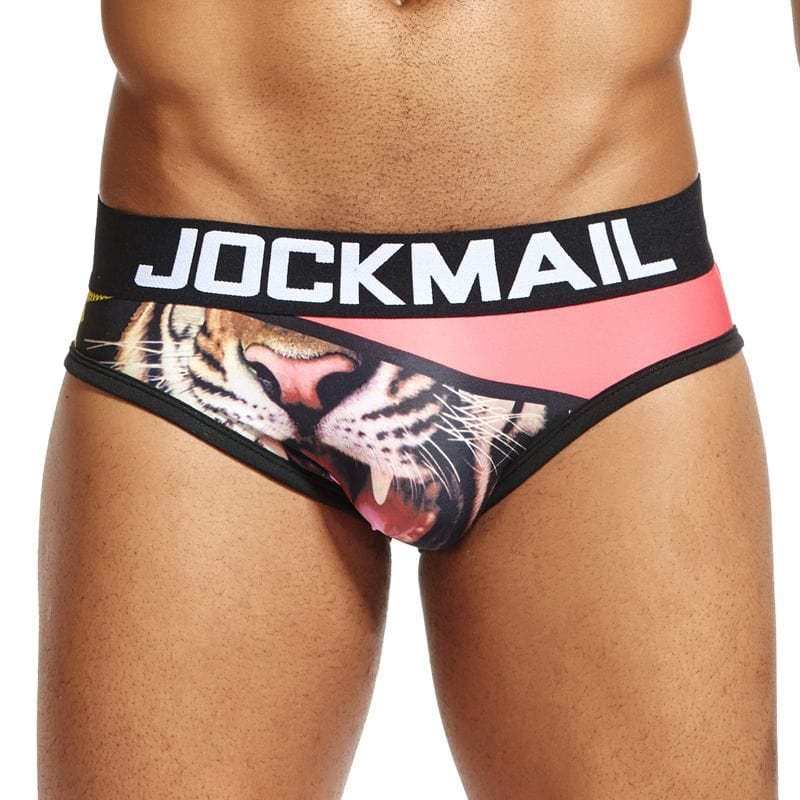 Foreplay Graphic Briefs | dmunderwear detail image 5
