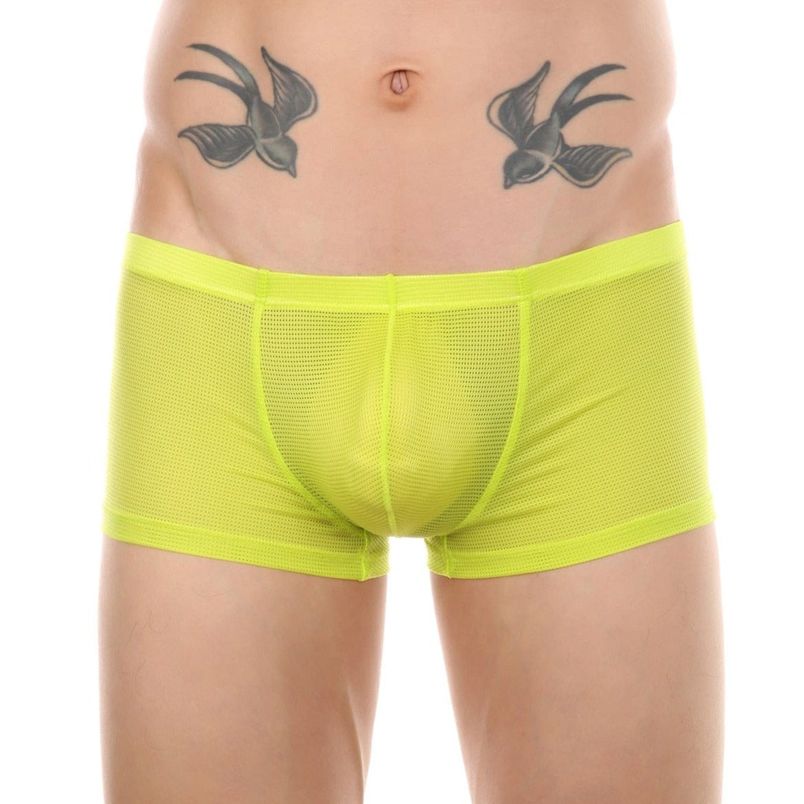 Radiant Trunks | dmunderwear