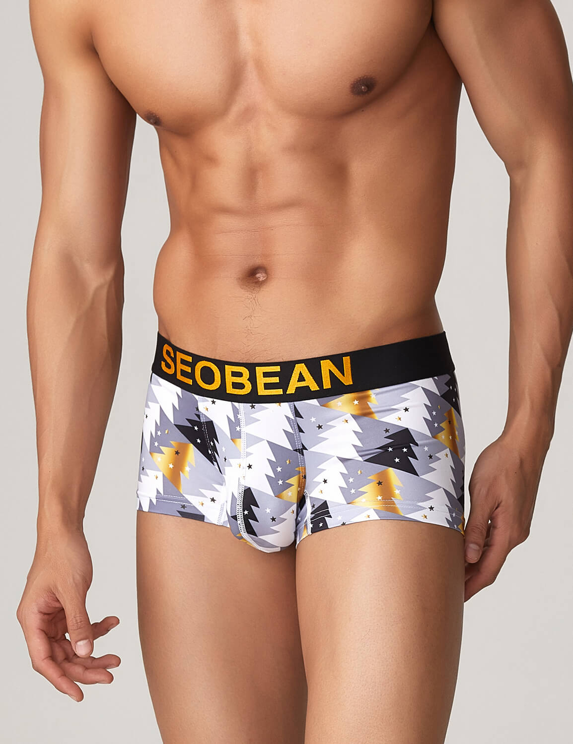 Holiday Boxer Brief 10213 | dmunderwear