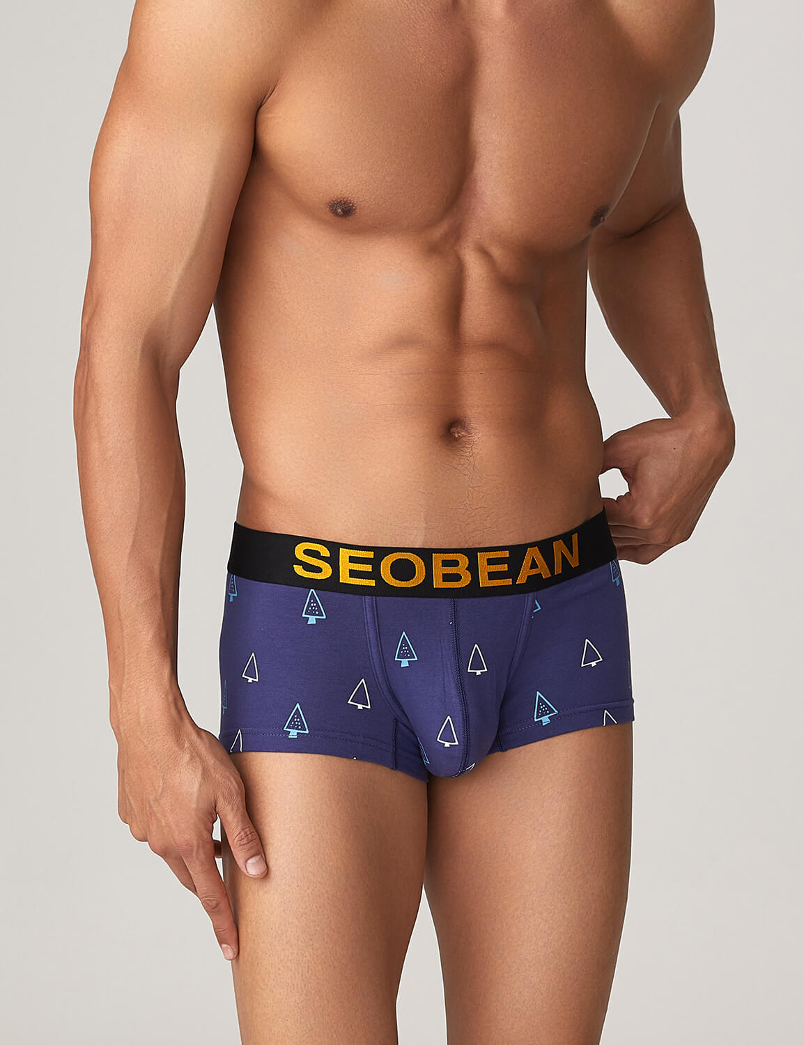 Holiday Boxer Brief 10213 | dmunderwear detail image 10