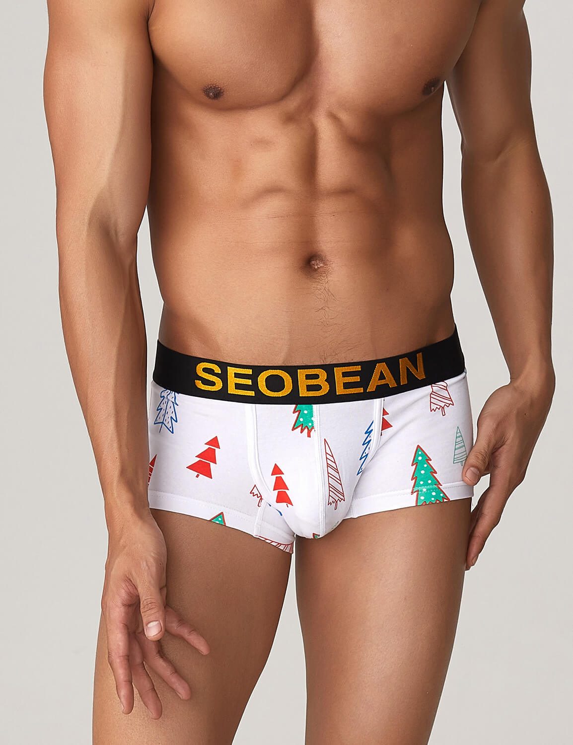 Holiday Boxer Brief 10213 | dmunderwear detail image 7