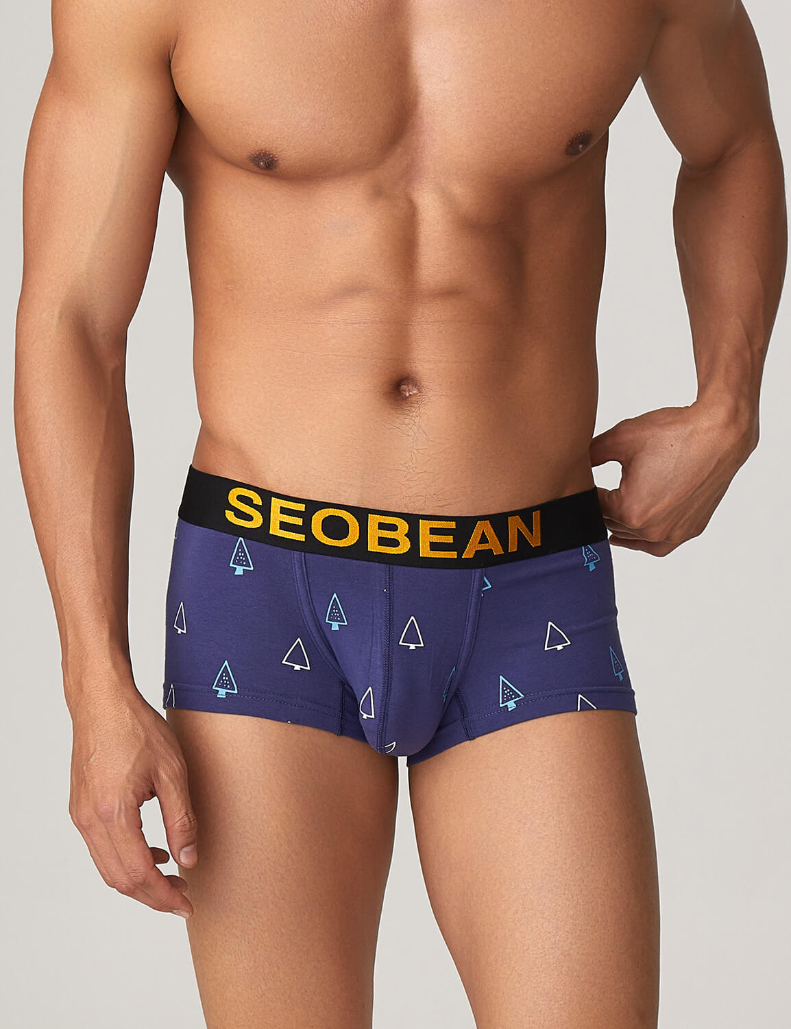 Holiday Boxer Brief 10213 | dmunderwear detail image 9