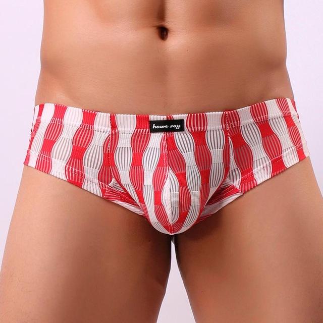 Howe Ray Woven Buns Out Briefs | dmunderwear detail image 7
