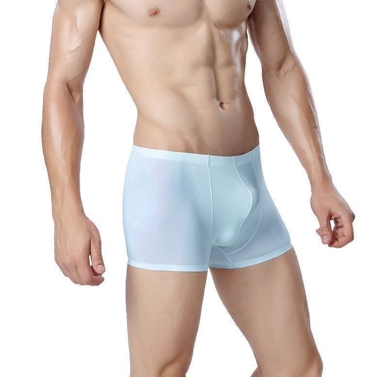 ORVLS Icy + Stretch Boxer Briefs | dmunderwear variant image