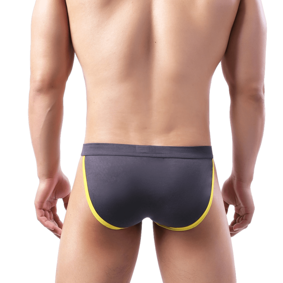 Irresistible Tanga Briefs | dmunderwear detail image 12