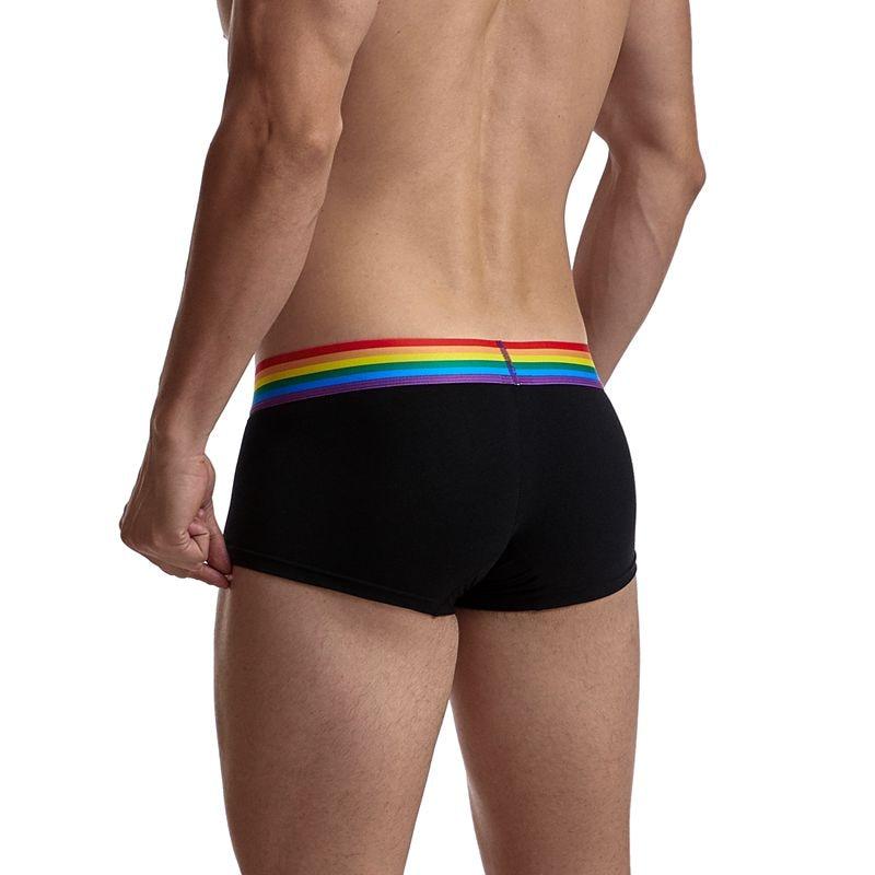 Jockmail Pride Gay Boxer Briefs | dmunderwear detail image 13