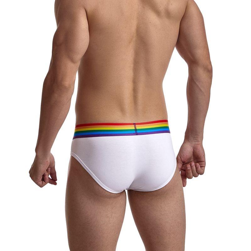 Jockmail Pride Gay Boxer Briefs | dmunderwear detail image 4