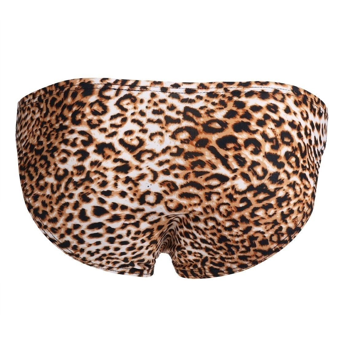 Leopard Print Swim Briefs | dmunderwear detail image 2