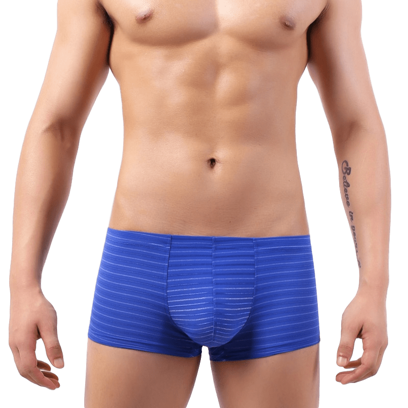 Light Striped Trunks | dmunderwear detail image 12