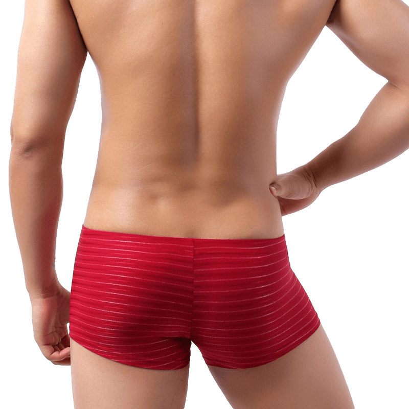 Light Striped Trunks | dmunderwear detail image 2