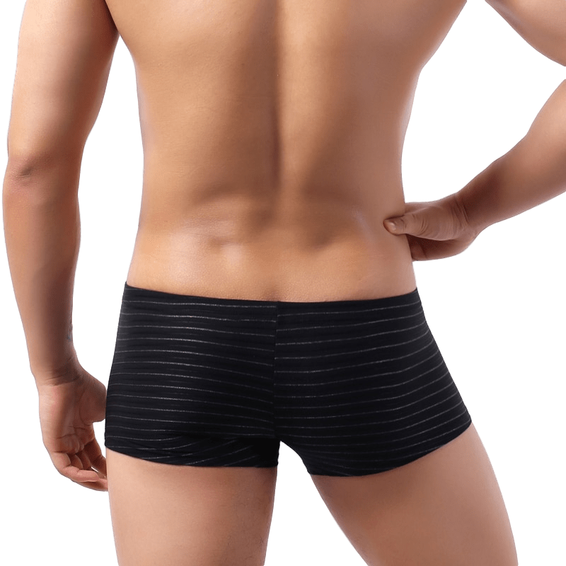 Light Striped Trunks | dmunderwear detail image 4