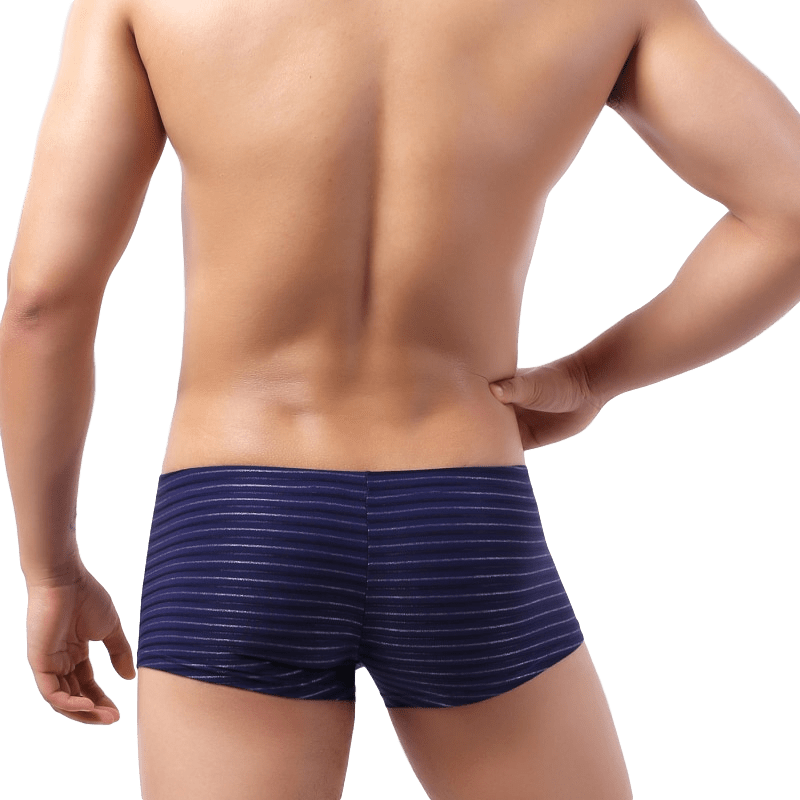Light Striped Trunks | dmunderwear detail image 6