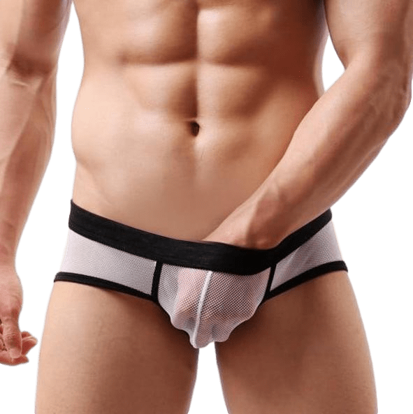 Lively Sheer Briefs | dmunderwear detail image 4