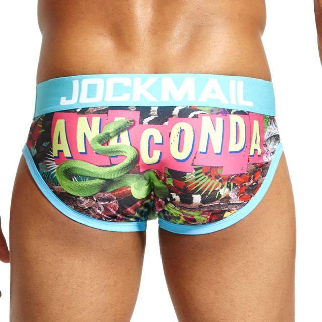 Loud and Proud Stretch Briefs | dmunderwear detail image 11