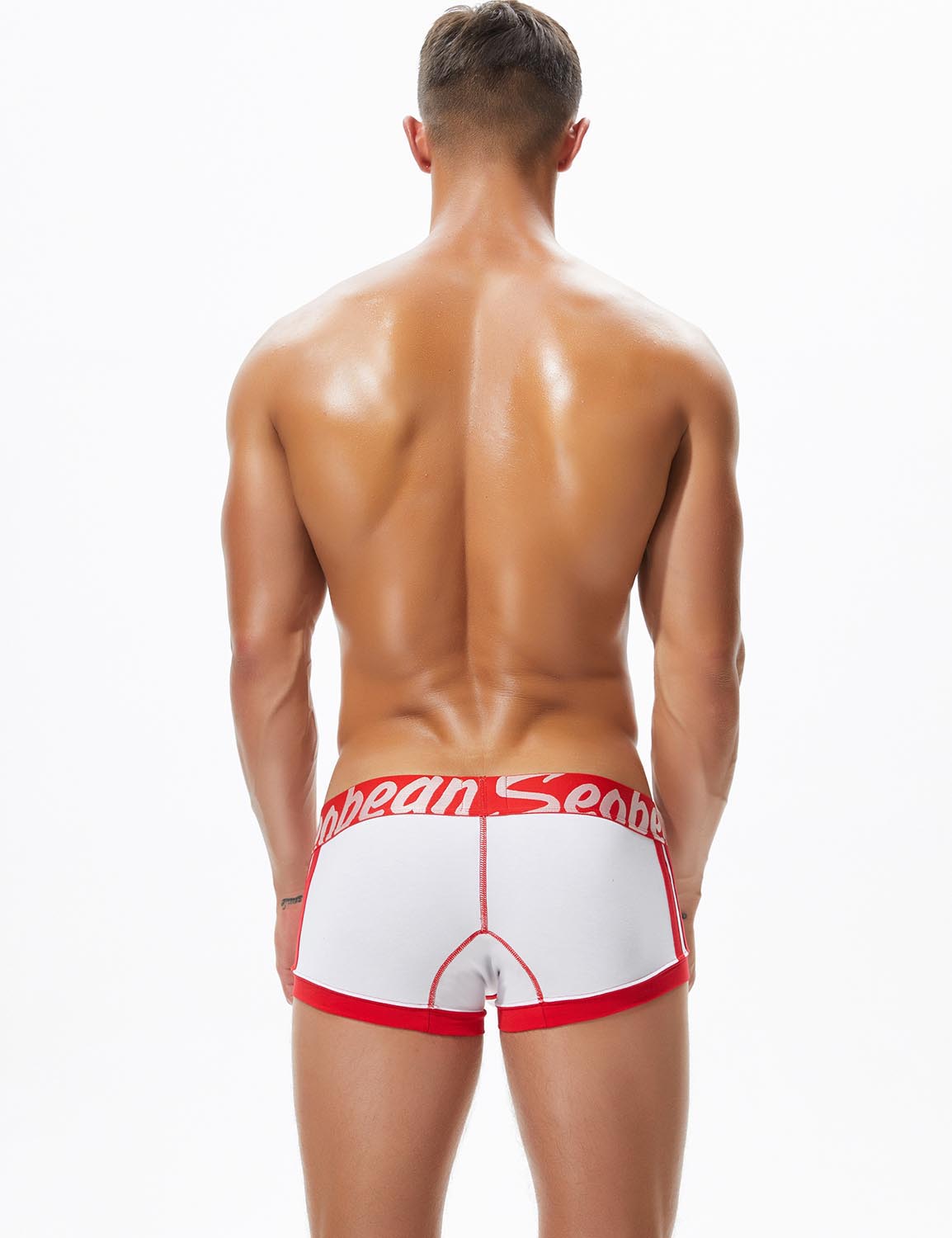 Low Rise Boxer Brief "6 Strive" 90214 | dmunderwear detail image 17