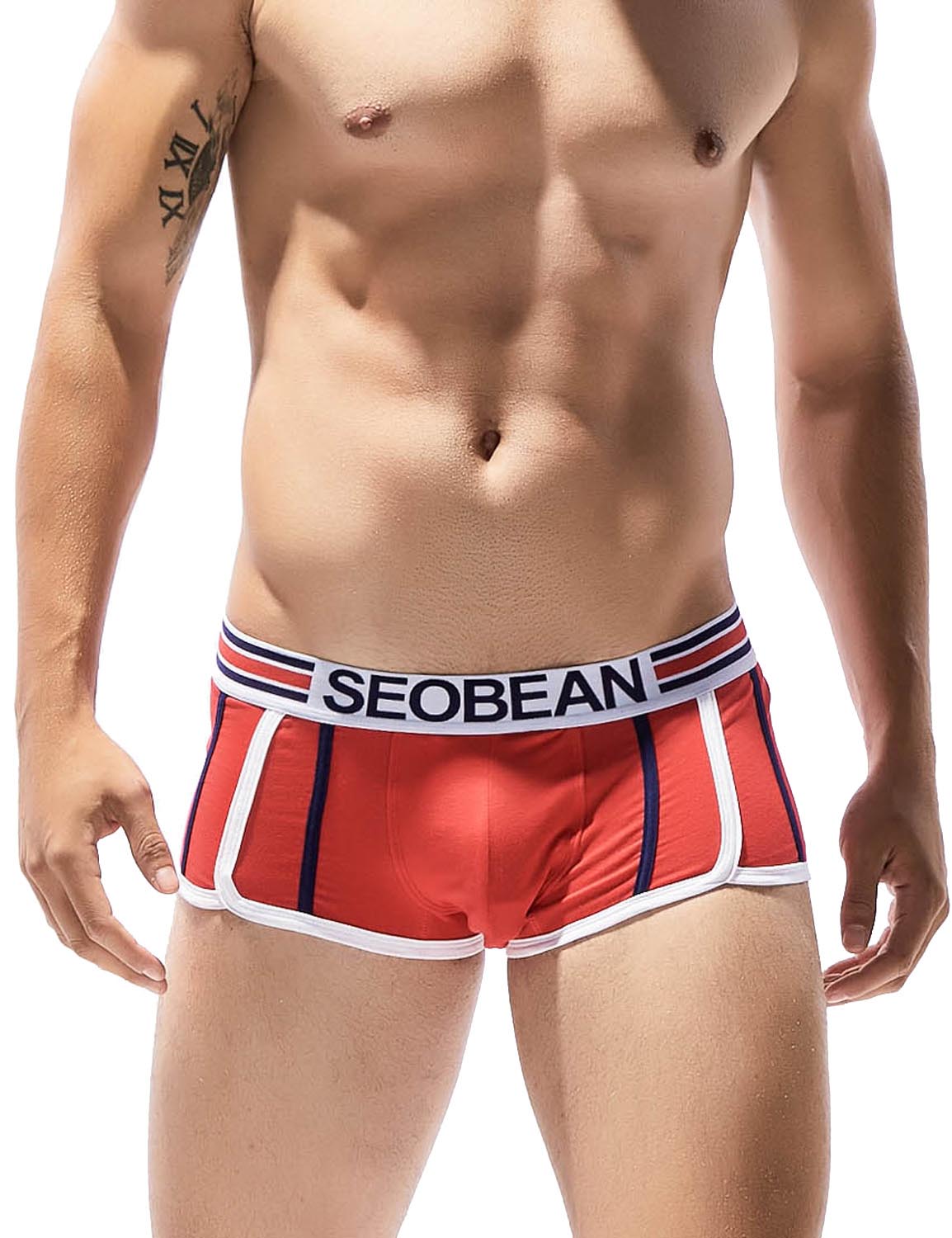Low Rise Boxer Brief 70212 | dmunderwear detail image 13