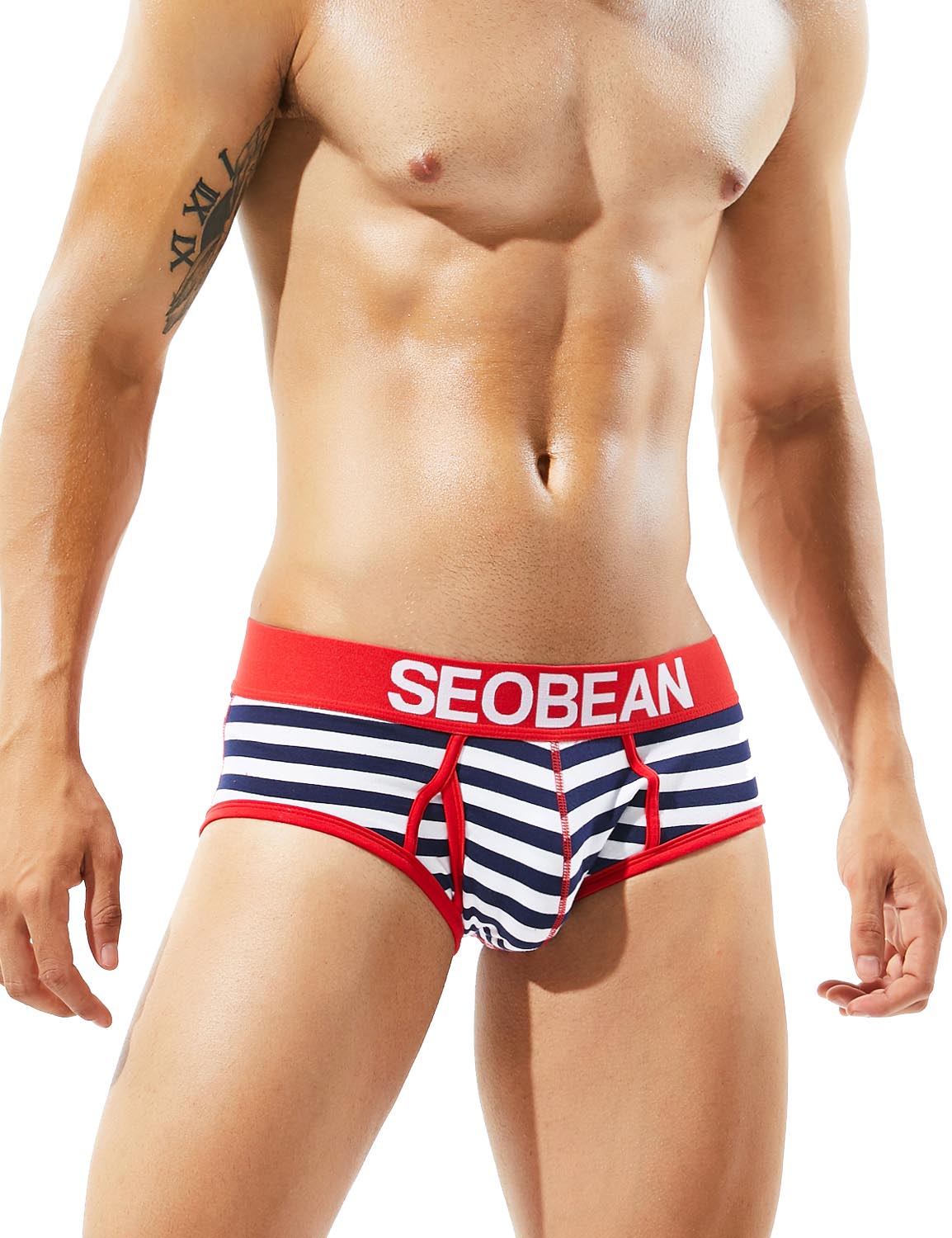 Low Rise Cotton Stripe Brief 80101 | dmunderwear detail image 8