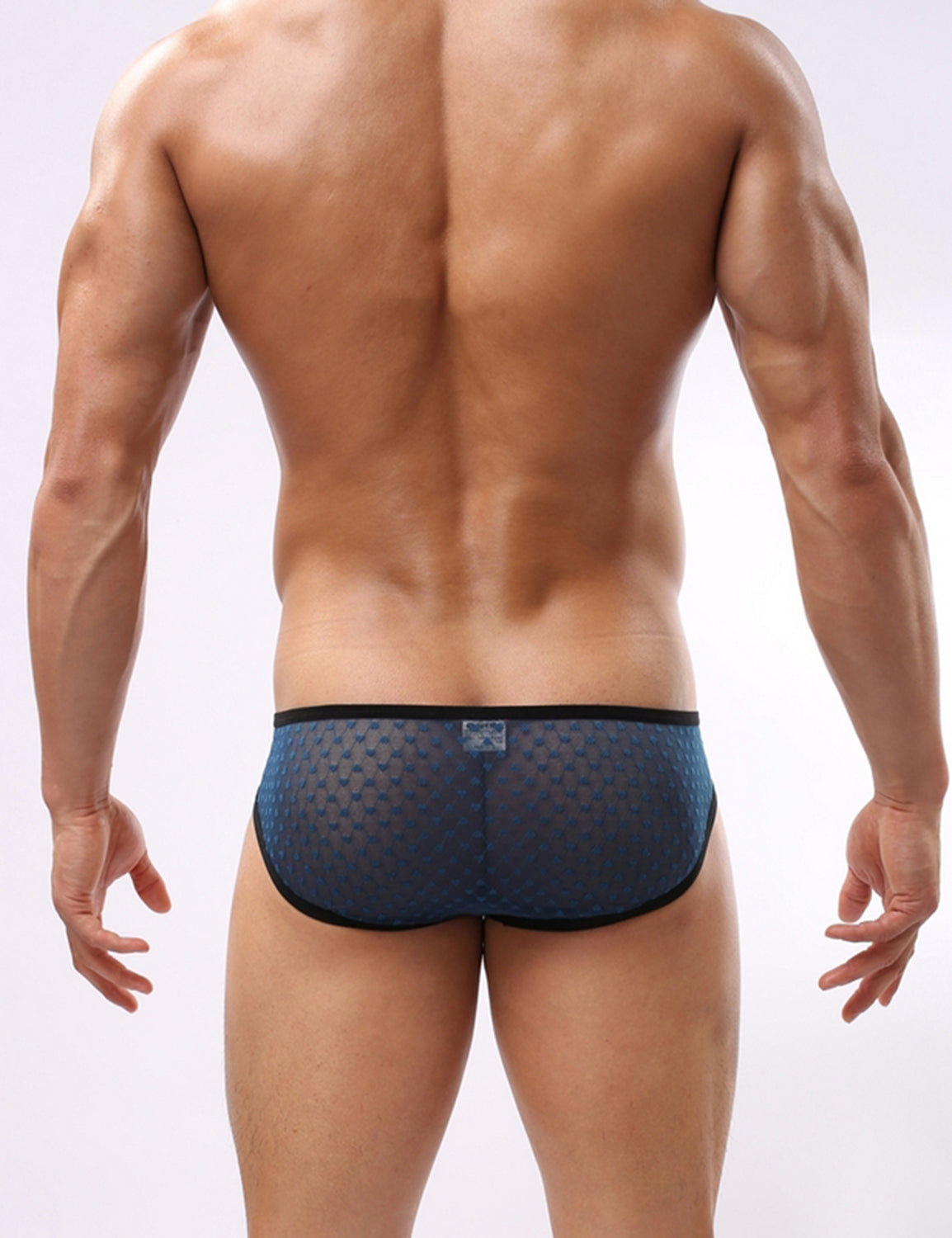Low Rise Mesh Briefs 4117 | dmunderwear detail image 2