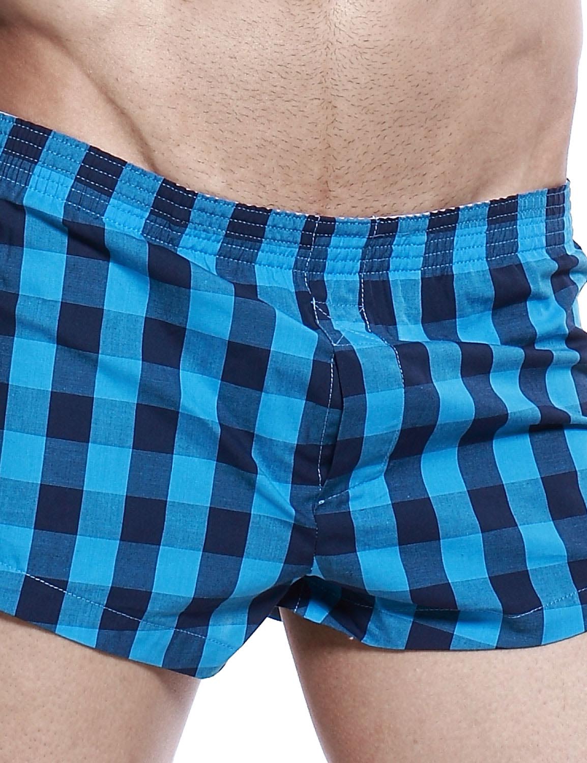 Low Rise Plaid Trunk Shorts 40505 | dmunderwear detail image 5