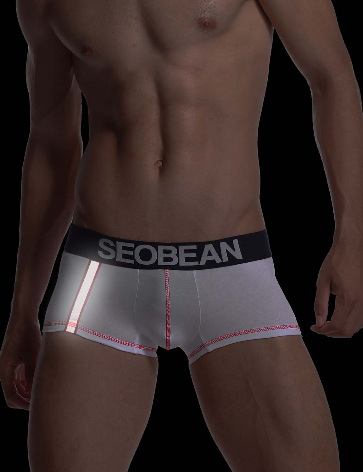 Low Rise Reflective Tape Boxer Brief 30240 | dmunderwear detail image 6