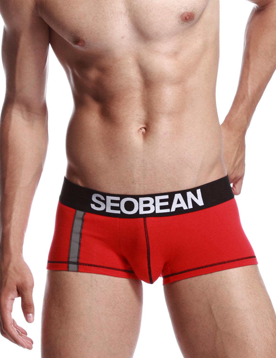 Low Rise Reflective Tape Boxer Brief 30240 | dmunderwear detail image 9