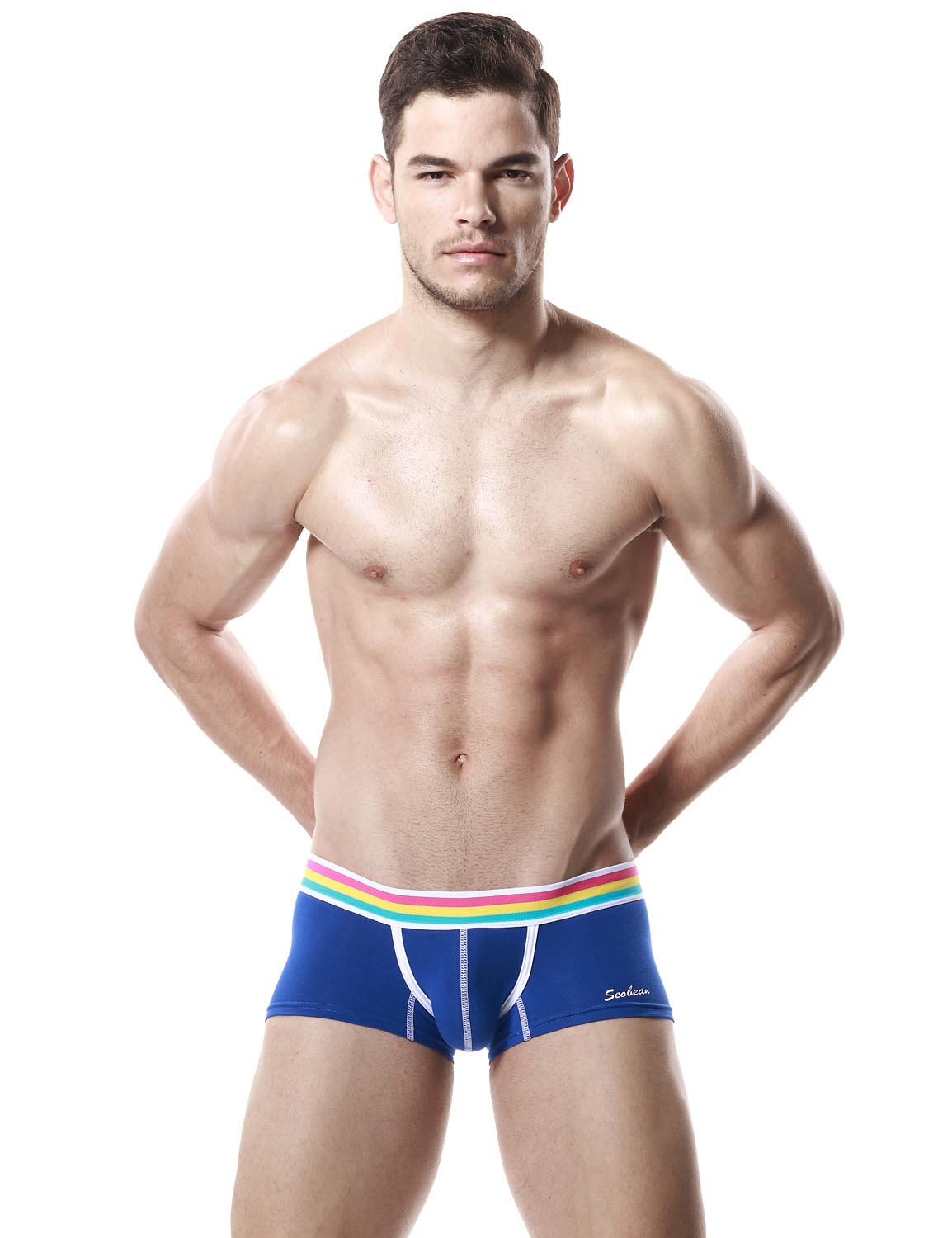 Low Rise Sexy Boxer Brief Rainbow 60206 | dmunderwear detail image 7