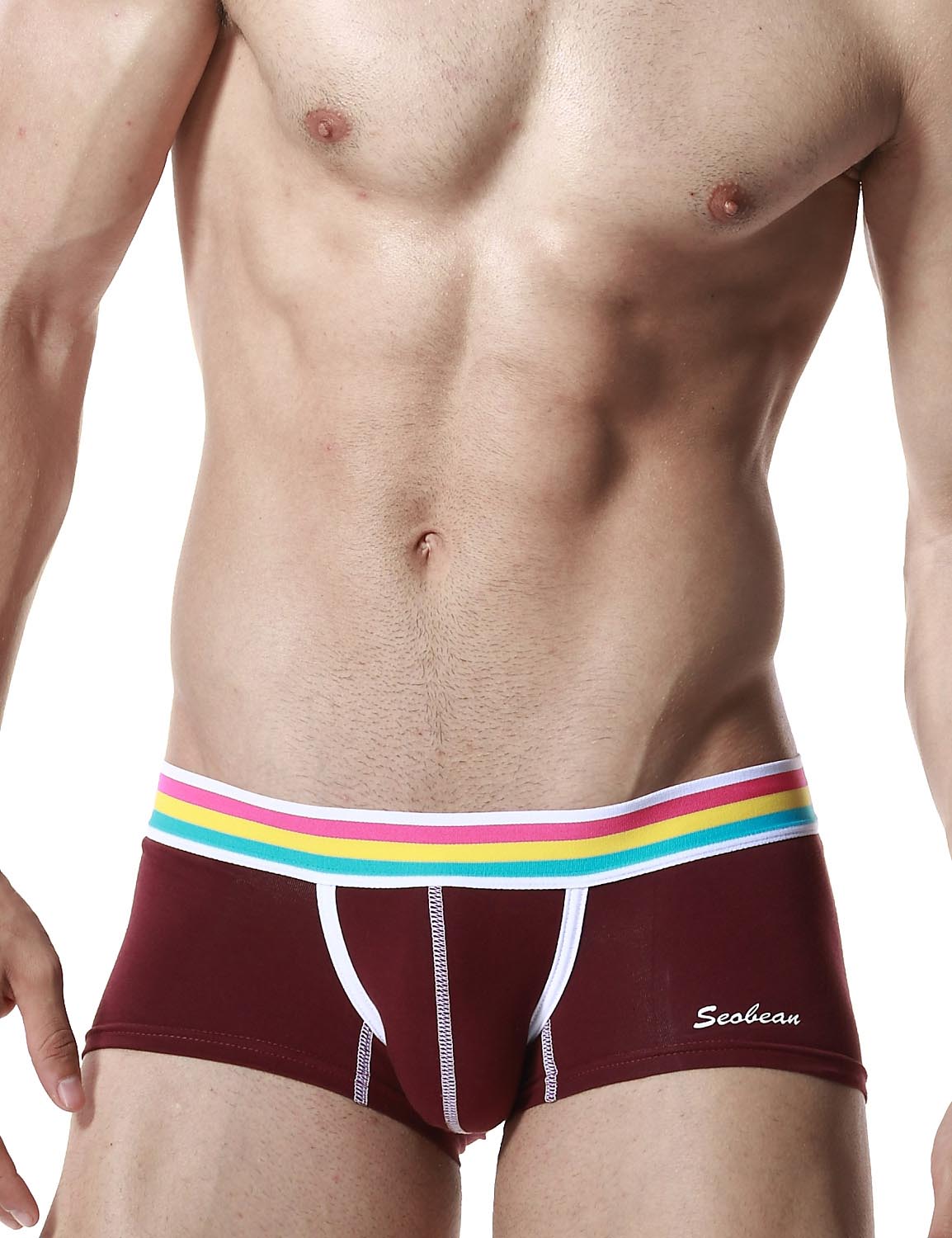 Low Rise Sexy Boxer Brief Rainbow 60206 | dmunderwear detail image 8