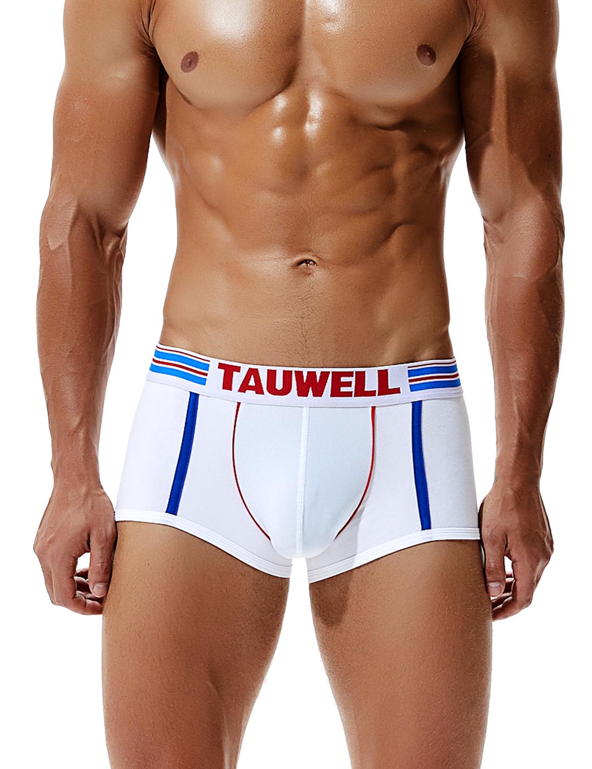 Low Rise Sexy Boxer Brief 8201 | dmunderwear detail image 3