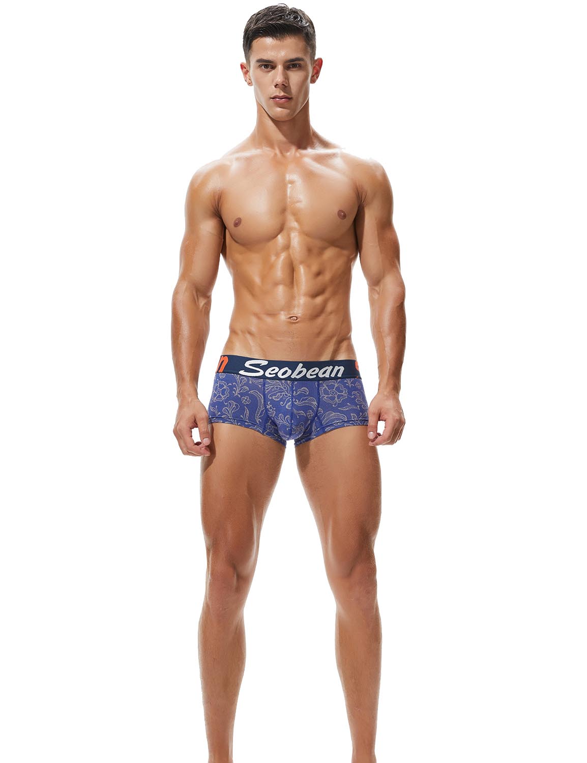 Low Rise Sexy Boxer Brief 90201 | dmunderwear detail image 3