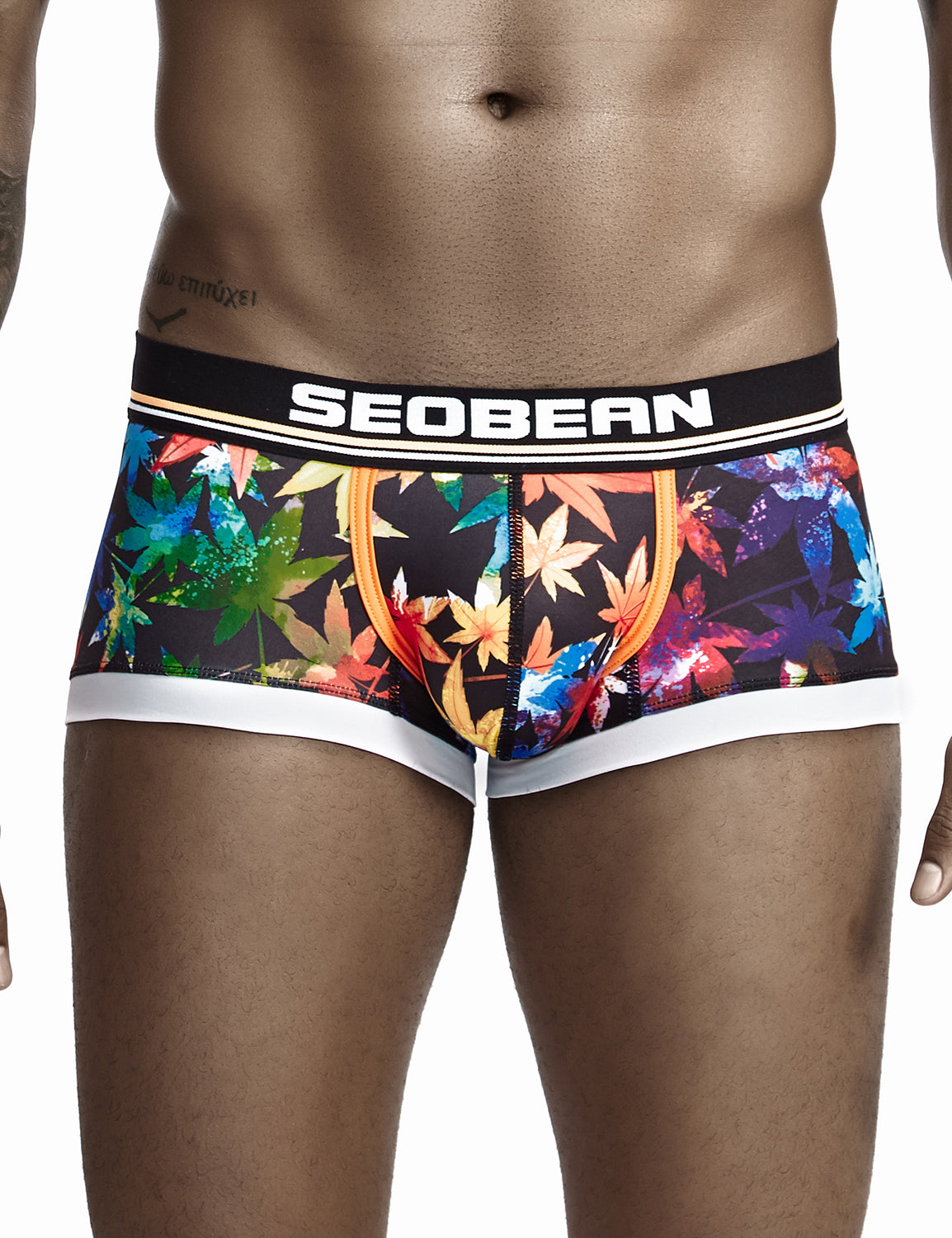 Low Rise Sexy Maple Leaf Boxer Brief 90223 | dmunderwear detail image 3