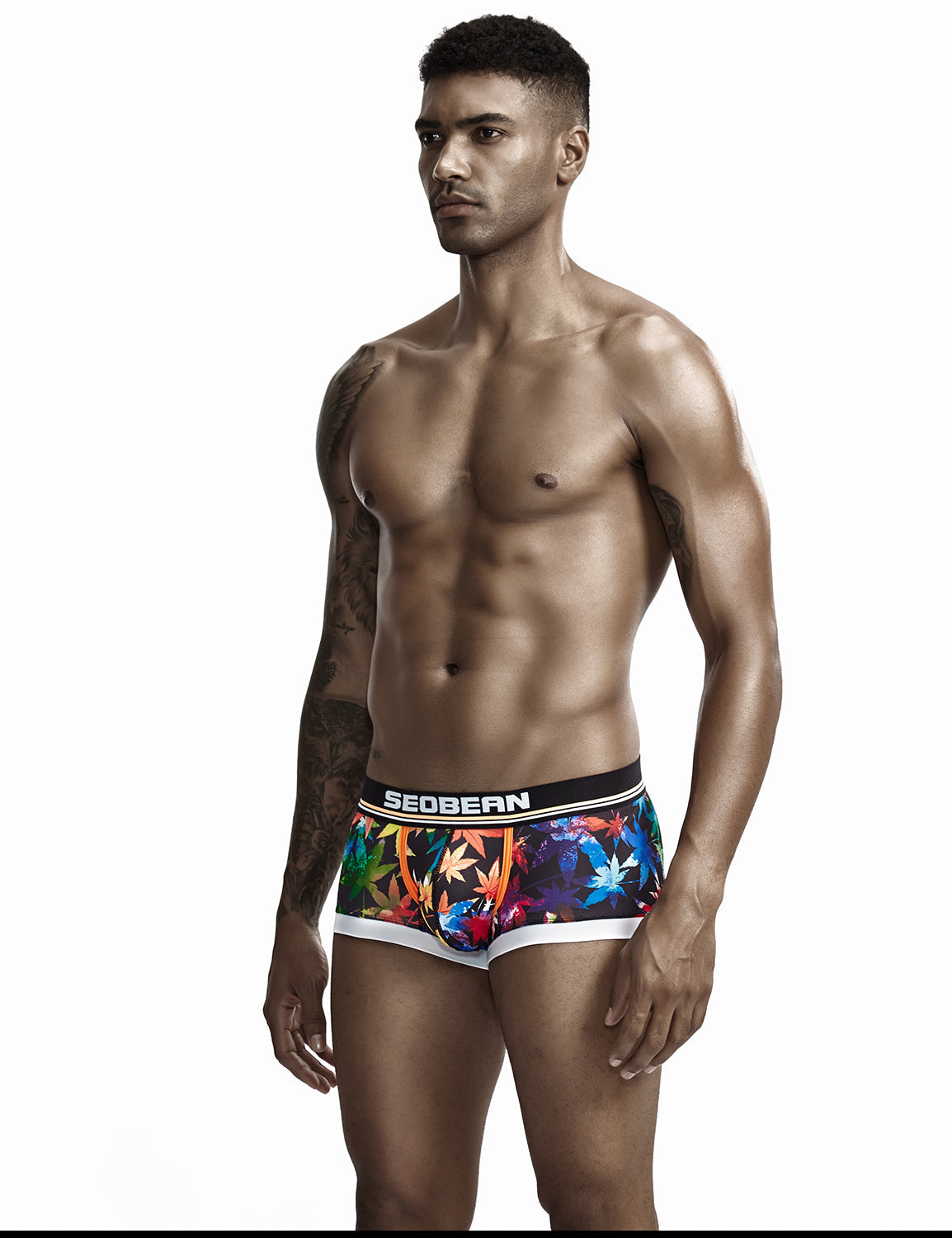 Low Rise Sexy Maple Leaf Boxer Brief 90223 | dmunderwear detail image 4