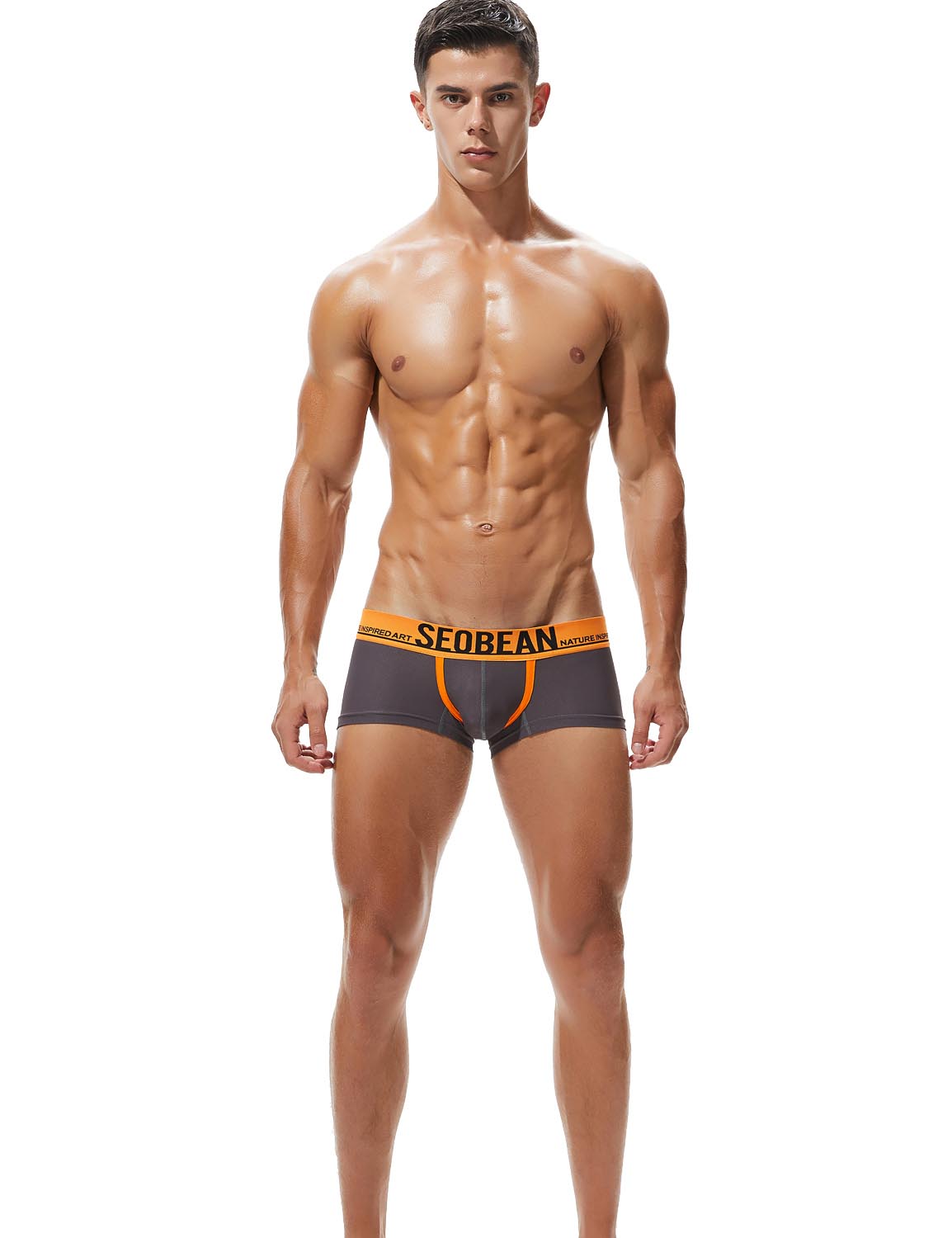 Low Rise Nylon Mesh Boxer Brief 90204 | dmunderwear detail image 12
