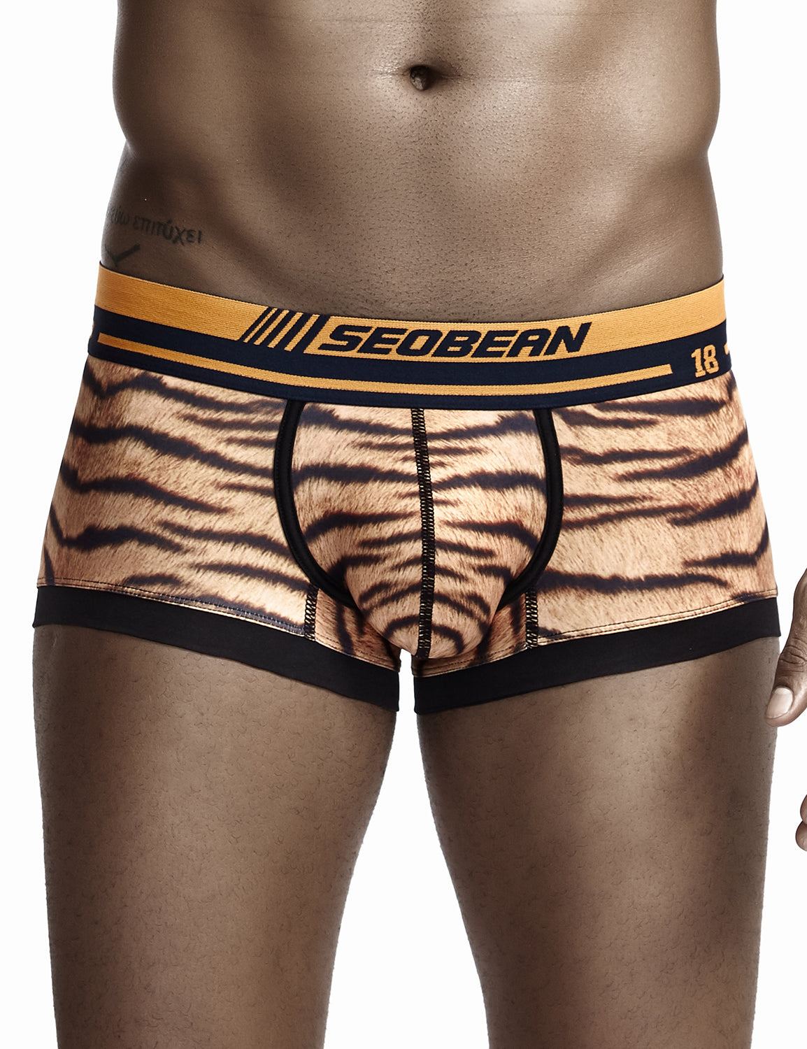 Tiger Pattern Boxer Brief 90226 | dmunderwear detail image 3