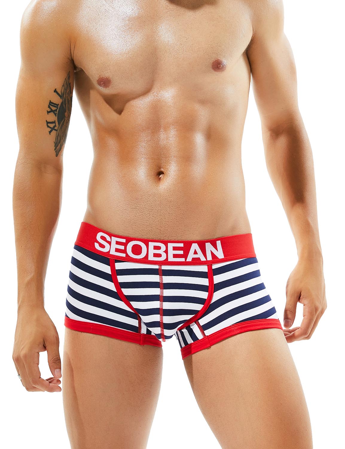 Low Rise Stripe Boxer Brief 80204 | dmunderwear detail image 5