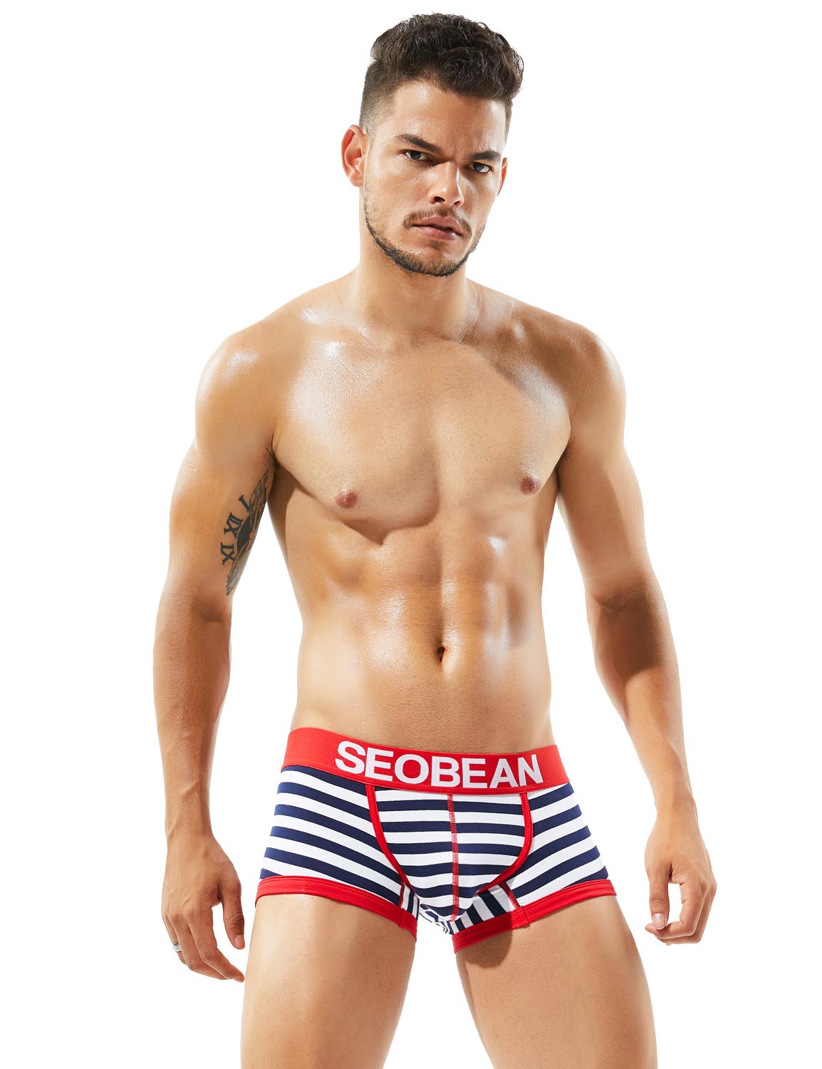 Low Rise Stripe Boxer Brief 80204 | dmunderwear detail image 7
