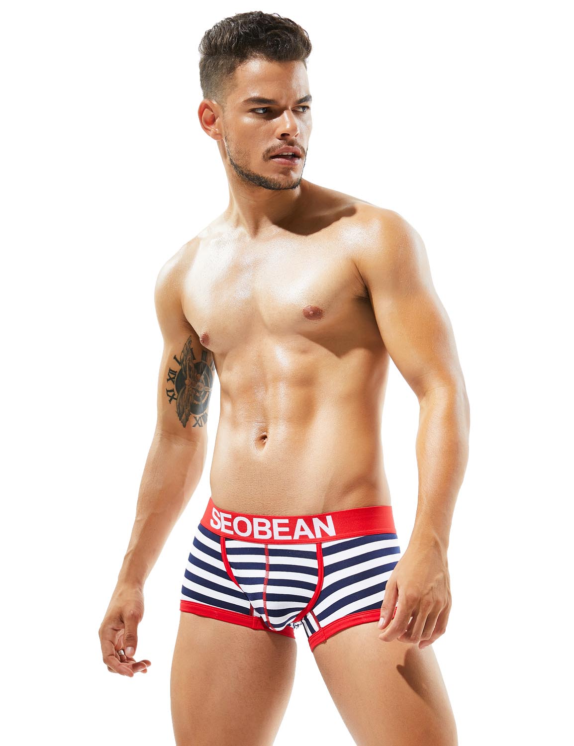 Low Rise Stripe Boxer Brief 80204 | dmunderwear detail image 8