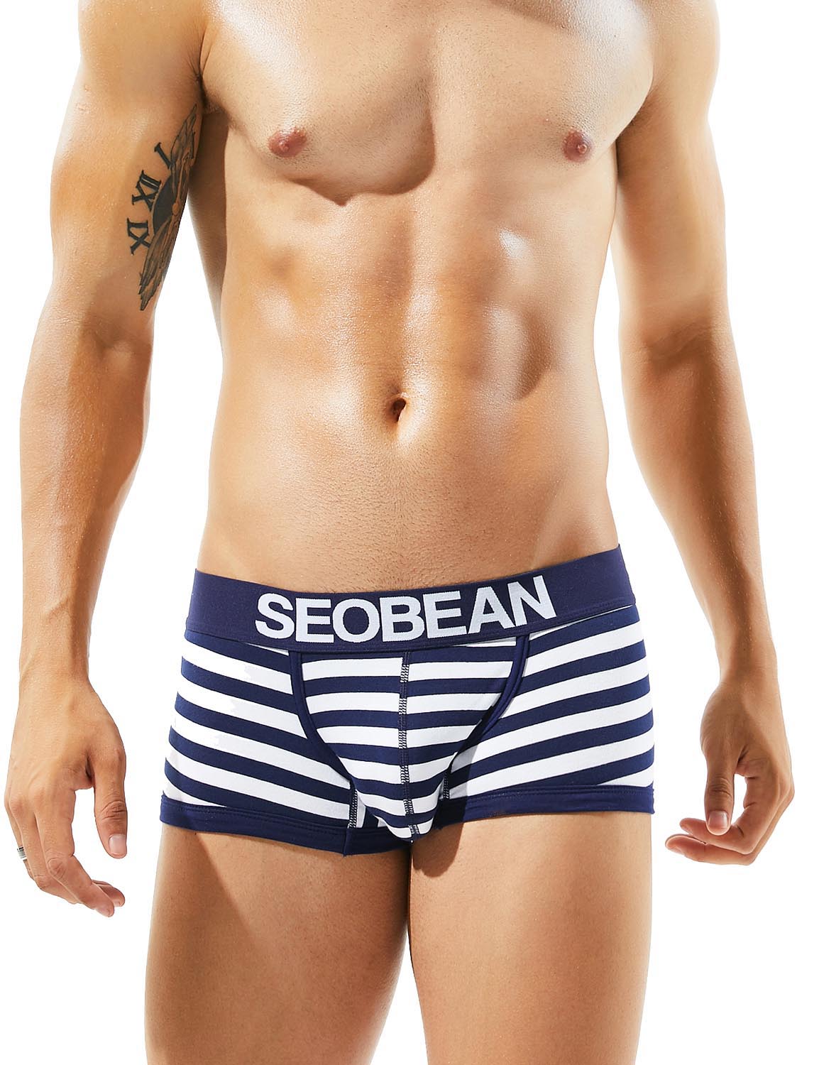 Low Rise Stripe Boxer Brief 80204 | dmunderwear detail image 9