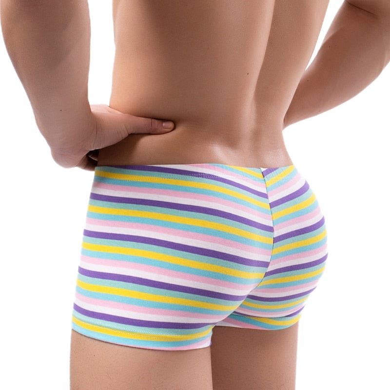 Lush Striped Trunks | dmunderwear detail image 4