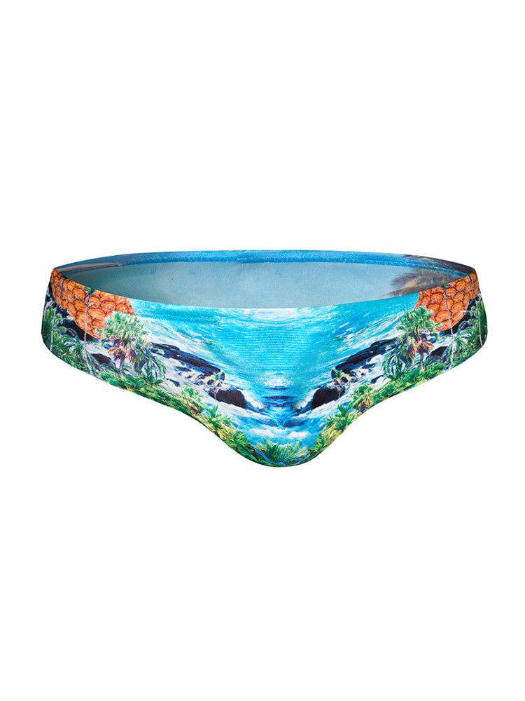Men's Anti-Chafing Stretch Fabric Bold Prints Quick-Dry Swim Briefs | dmunderwear variant image