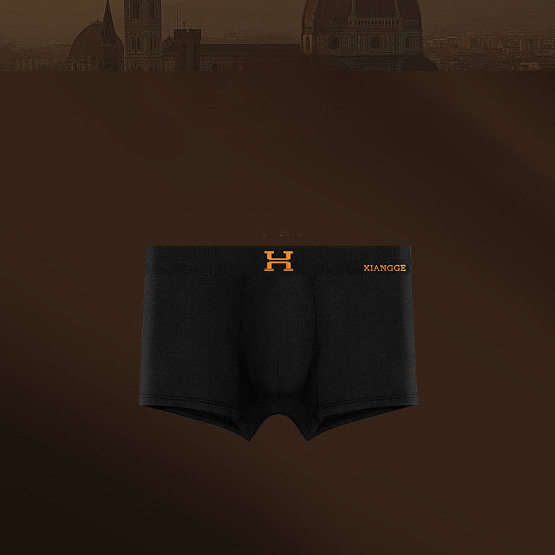 Men's briefs Warm Modal thin boxer shorts Boxer briefs | dmunderwear variant image