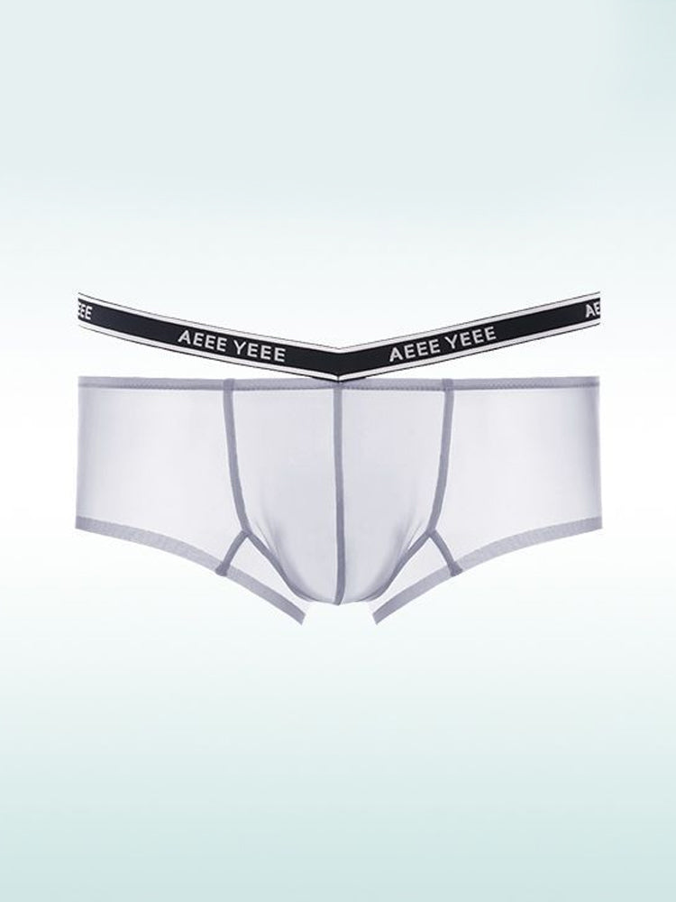 Men's Transparent Ice Silk Waistband Separate Briefs | dmunderwear variant image