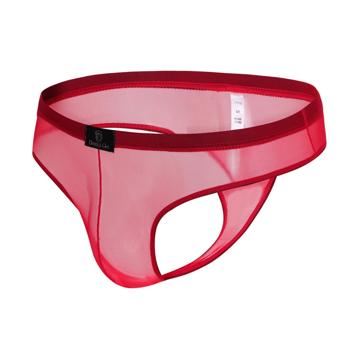 Mesh Bikini G-String Thong 5532 | dmunderwear variant image