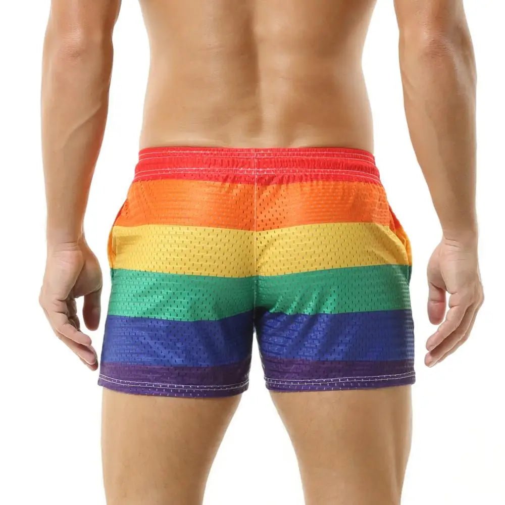 Mesh Rainbow Board Shorts | dmunderwear detail image 2